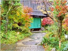 �G�[�XJTB�F�������T��